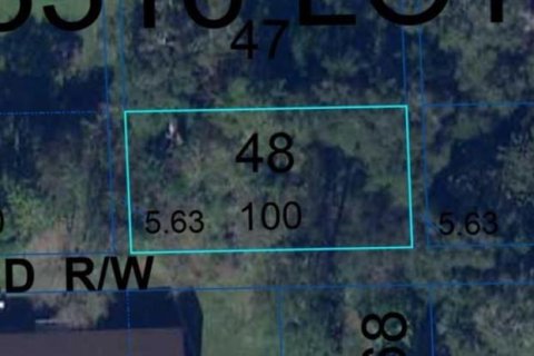 Land in Alachua, Florida № 1733273 - photo 4