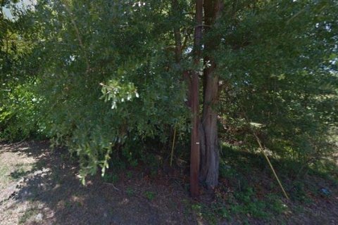 Land in Alachua, Florida № 1733273 - photo 3