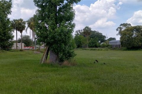 Land in Orlando, Florida № 1778841 - photo 2