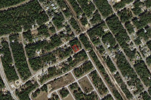Land in Citrus Springs, Florida № 2159629 - photo 4