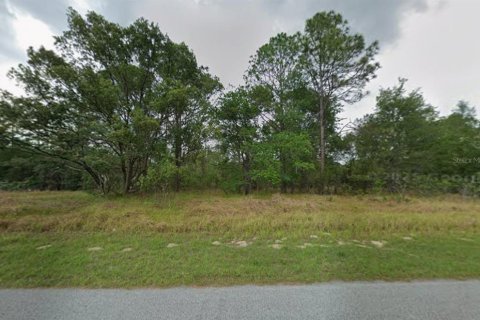 Land in Citrus Springs, Florida № 2159629 - photo 3