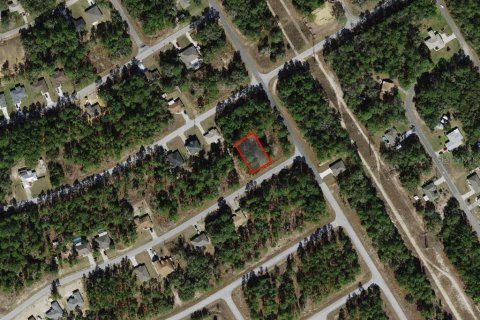Land in Citrus Springs, Florida № 2159629 - photo 2