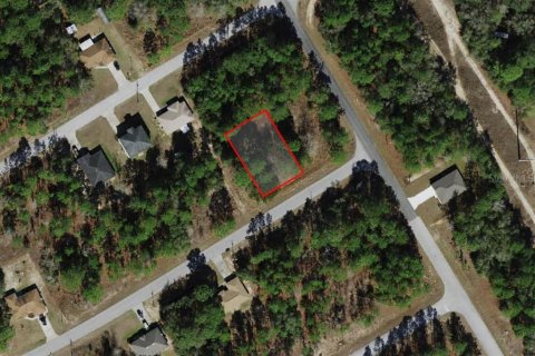 Land in Citrus Springs, Florida № 2159629
