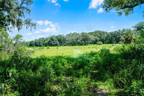 Casa en venta en Orlando, Florida, 1 dormitorio, 57.23 m2 № 1917193 - foto 3