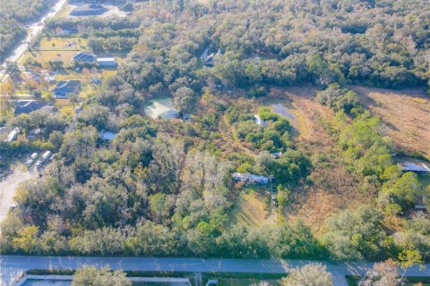 Land in Oviedo, Florida № 2127798 - photo 2