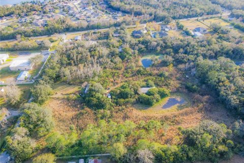 Land in Oviedo, Florida № 2127798 - photo 4