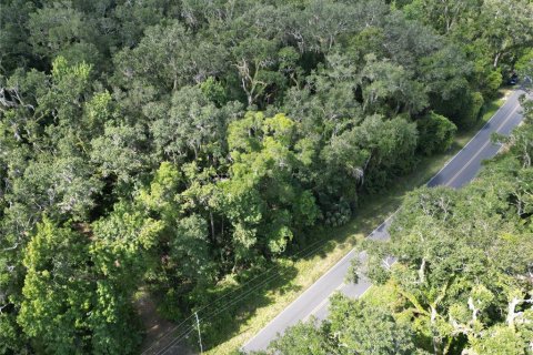 Terreno en venta en Old Town, Florida № 1919285 - foto 6