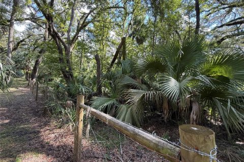 Terreno en venta en Old Town, Florida № 1919285 - foto 8