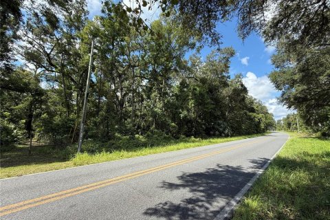 Terreno en venta en Old Town, Florida № 1919285 - foto 9