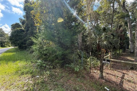 Terreno en venta en Old Town, Florida № 1919285 - foto 10