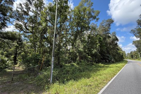 Terreno en venta en Old Town, Florida № 1919285 - foto 2