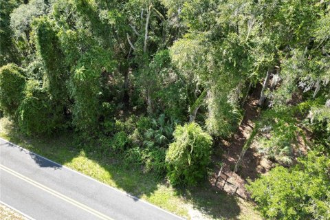 Terreno en venta en Old Town, Florida № 1919285 - foto 5