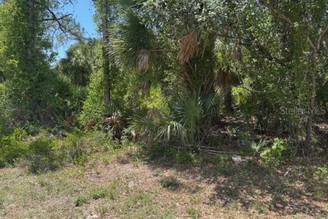 Land in Port Charlotte, Florida № 2159036 - photo 4