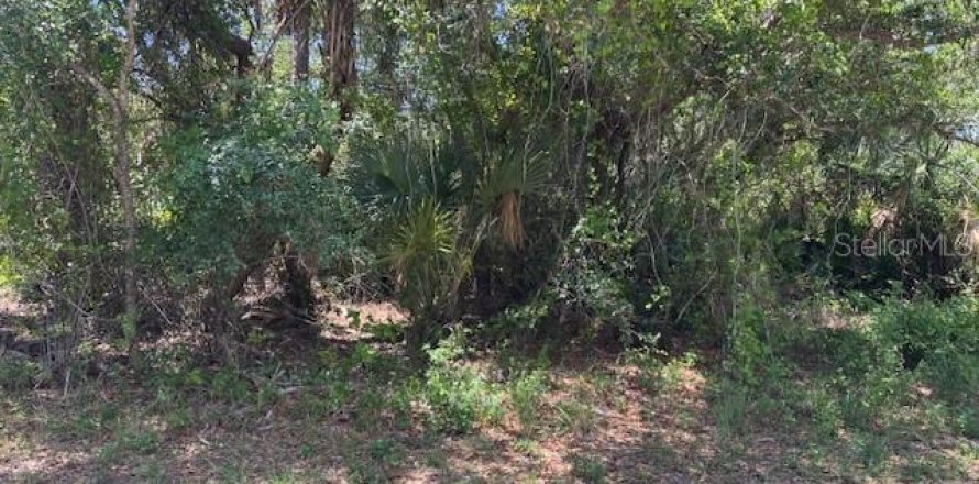 Land in Port Charlotte, Florida № 2159036
