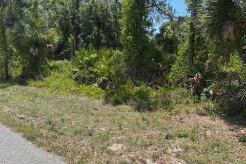 Land in Port Charlotte, Florida № 2159036 - photo 3