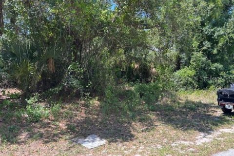 Land in Port Charlotte, Florida № 2159036 - photo 2