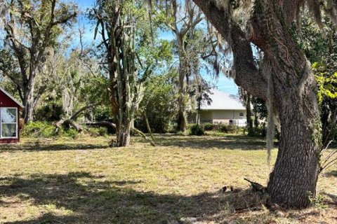 Land in Sebring, Florida № 1565760 - photo 22