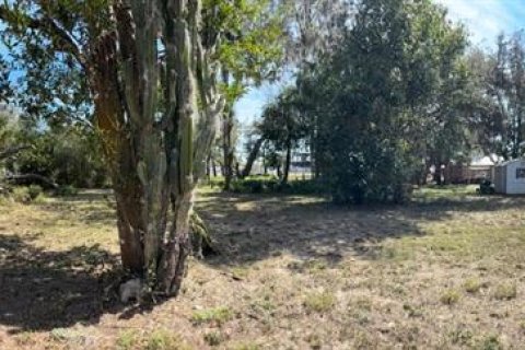 Land in Sebring, Florida № 1565760 - photo 1