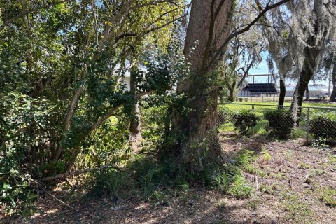 Land in Sebring, Florida № 1565760 - photo 19