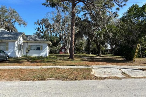 Land in Sebring, Florida № 1565760 - photo 8