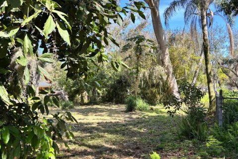 Land in Sebring, Florida № 1565760 - photo 14