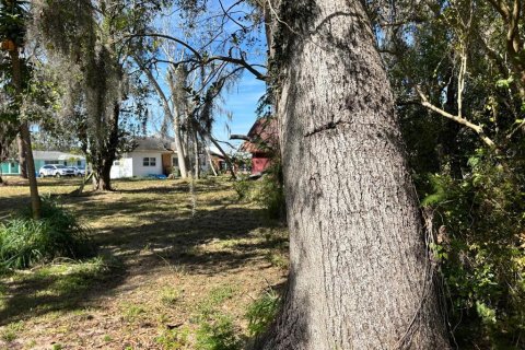 Land in Sebring, Florida № 1565760 - photo 7
