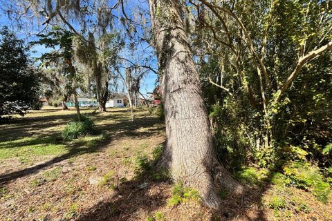 Land in Sebring, Florida № 1565760 - photo 11