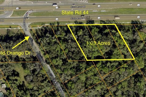 Land in New Smyrna Beach, Florida № 1688387 - photo 1