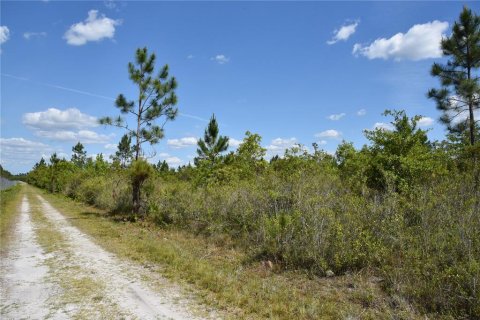 Land in Gainesville, Florida № 1673607 - photo 14
