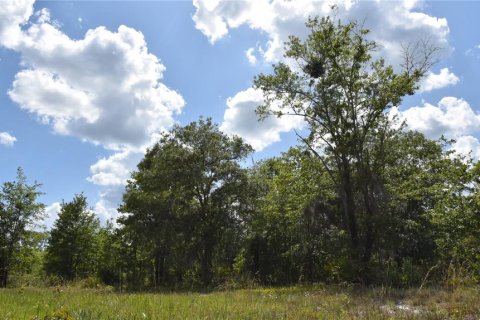 Land in Gainesville, Florida № 1673607 - photo 21