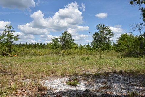 Land in Gainesville, Florida № 1673607 - photo 12