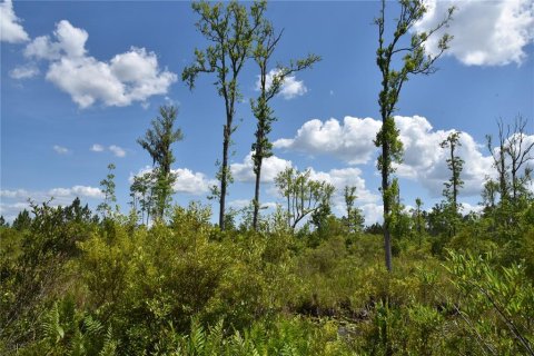 Land in Gainesville, Florida № 1673607 - photo 23