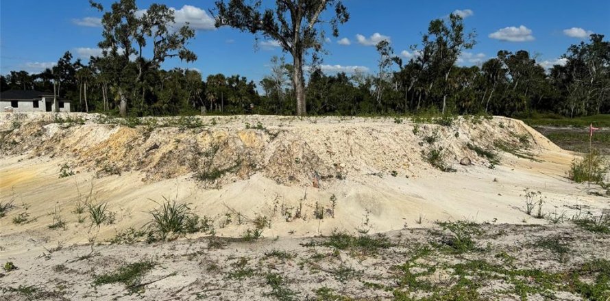 Land in Port Charlotte, Florida № 2164509