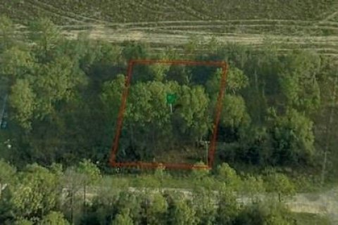 Terrain à Dunnellon, Floride № 2389123