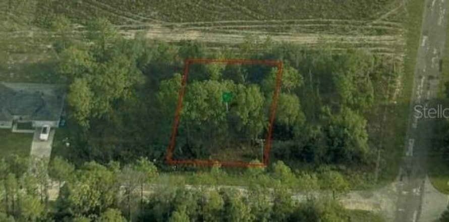 Terrain à Dunnellon, Floride № 2389123