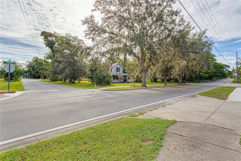 Terrain à Mount Dora, Floride № 2130567