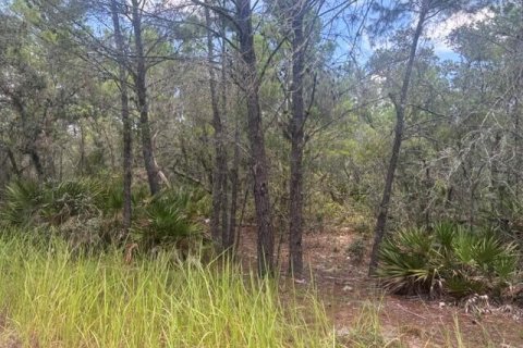 Immobilier commercial à Lake Wales, Floride № 2259665