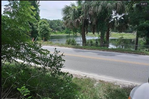 Land in Pomona Park, Florida № 2163961 - photo 3