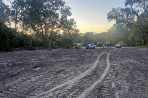 Land in Pomona Park, Florida № 2163961