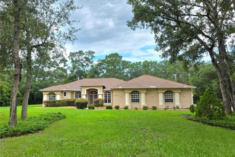 Casa en venta en Weeki Wachee, Florida, 4 dormitorios, 262.17 m2 № 1916969 - foto 1