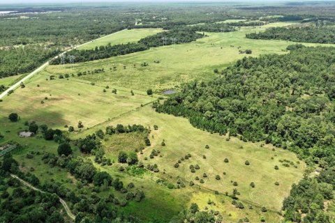 Land in Christmas, Florida № 1848203 - photo 28