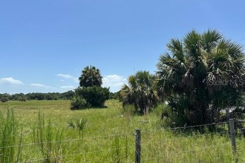 Land in Christmas, Florida № 1848203 - photo 7