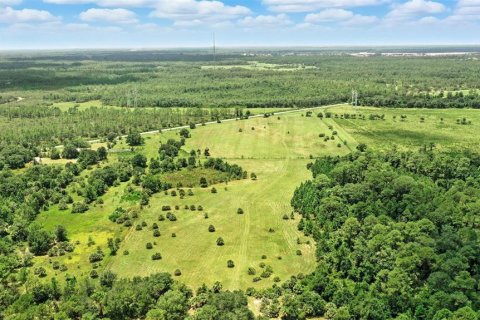 Land in Christmas, Florida № 1848203 - photo 24