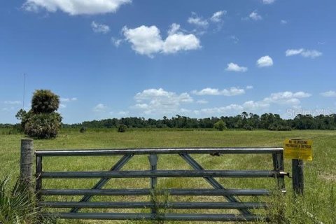 Land in Christmas, Florida № 1848203 - photo 2