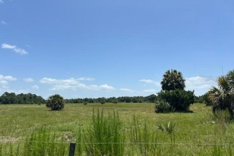 Land in Christmas, Florida № 1848203 - photo 5