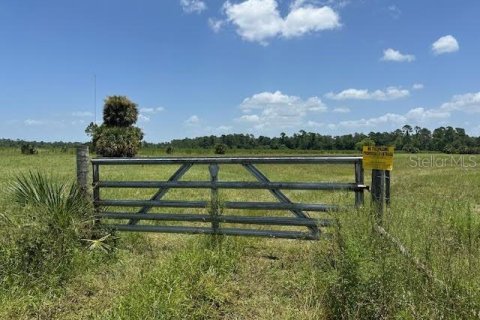 Land in Christmas, Florida № 1848203 - photo 29