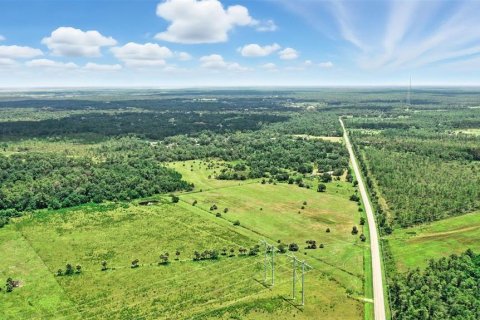 Land in Christmas, Florida № 1848203 - photo 20