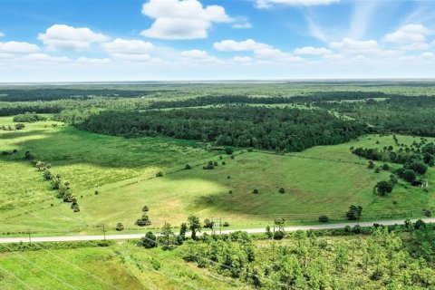 Land in Christmas, Florida № 1848203 - photo 8