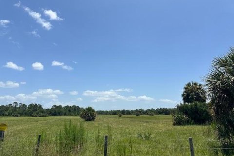 Land in Christmas, Florida № 1848203 - photo 30