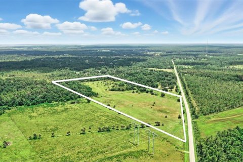 Land in Christmas, Florida № 1848203 - photo 19